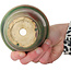 Maceta redonda verde y roja para bonsái de Issho - 102 x 102 x 68 mm