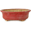 Oval red bonsai pot by Horie Bikoh - 114 x 100 x 33 mm