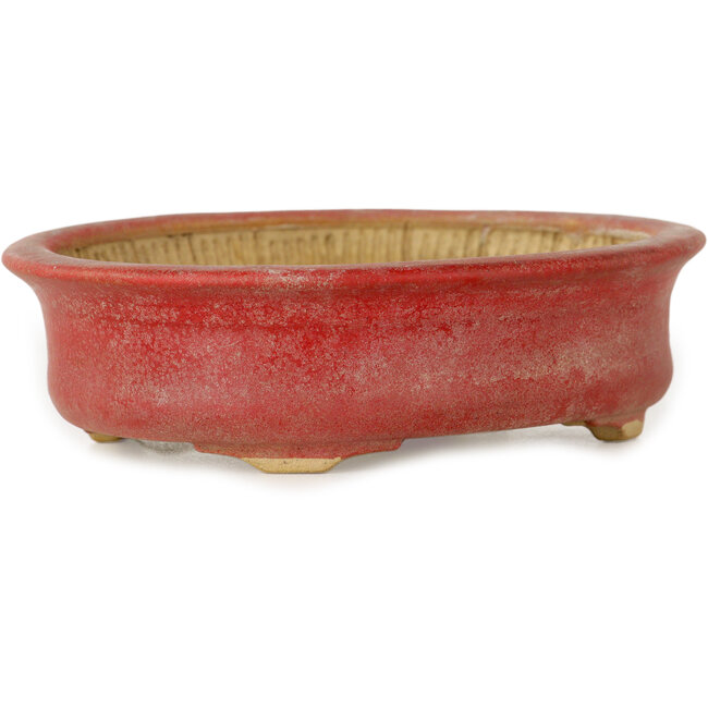 Vaso bonsai ovale rosso di Horie Bikoh - 114 x 100 x 33 mm
