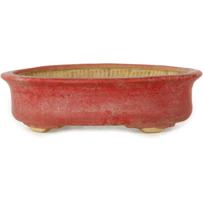Pot ovale rouge pour bonsaï par Horie Bikoh - 114 x 100 x 33 mm