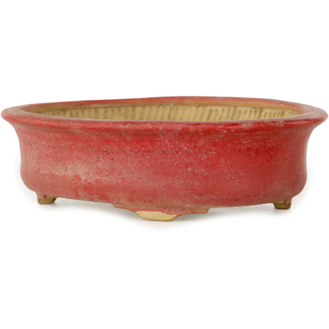 Maceta ovalada roja para bonsái de Horie Bikoh - 114 x 100 x 33 mm