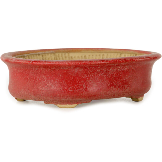 Ovaler roter Bonsai-Topf von Horie Bikoh – 114 x 100 x 33 mm