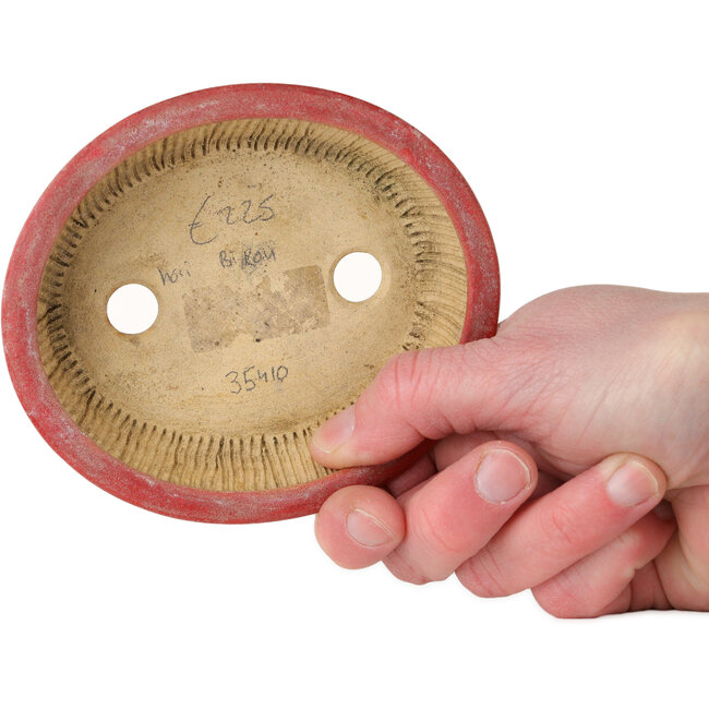 Pot ovale rouge pour bonsaï par Horie Bikoh - 114 x 100 x 33 mm
