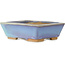 Vaso bonsai rettangolare blu di Bigei - 123 x 95 x 38 mm