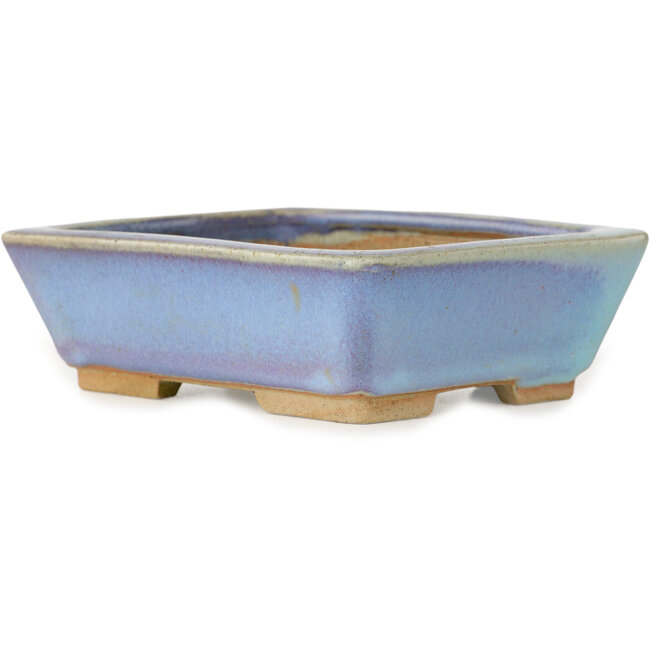 Pot à bonsaï rectangulaire bleu de Bigei - 123 x 95 x 38 mm