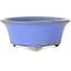 Runder blauer Bonsai-Topf von Bigei – 97 x 97 x 42 mm