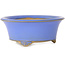 Round blue bonsai pot by Bigei - 97 x 97 x 42 mm