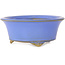 Ronde blauwe bonsaipot van Bigei - 97 x 97 x 42 mm
