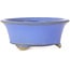 Maceta redonda azul para bonsái de Bigei - 97 x 97 x 42 mm