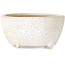 Oval white craquelé bonsai pot by Eime Yozan - 92 x 72 x 42 mm