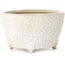 Maceta ovalada para bonsái craquelé blanca de Eime Yozan - 92 x 72 x 42 mm