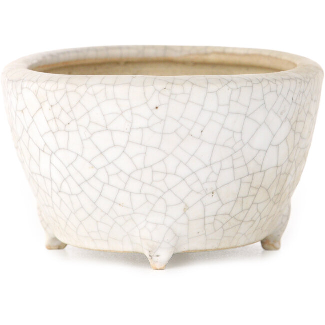 Maceta ovalada para bonsái craquelé blanca de Eime Yozan - 92 x 72 x 42 mm