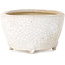 Oval white craquelé bonsai pot by Eime Yozan - 92 x 72 x 42 mm