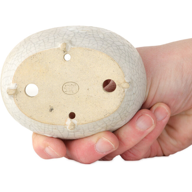 Maceta ovalada para bonsái craquelé blanca de Eime Yozan - 92 x 72 x 42 mm