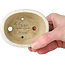 Ovaler weißer Craquelé-Bonsaitopf von Eime Yozan – 92 x 72 x 42 mm