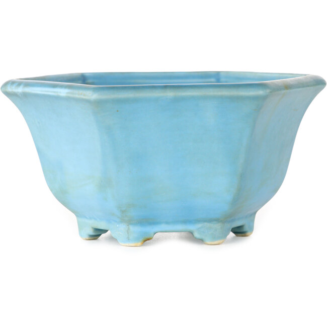 Vaso bonsai esagonale blu di Shoseki - 130 x 130 x 67 mm