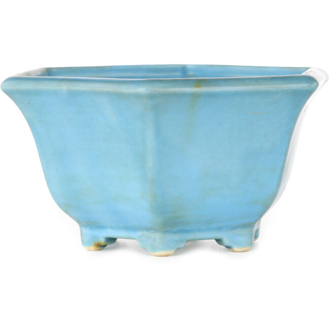 Vaso bonsai esagonale blu di Shoseki - 130 x 130 x 67 mm