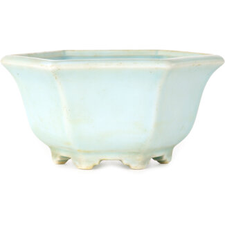 Shoseki Pot à bonsaï hexagonal bleu de 130 mm de diamètre, de la marque Shoseki (Japon).