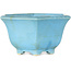 Vaso bonsai esagonale blu di Shoseki - 130 x 130 x 67 mm