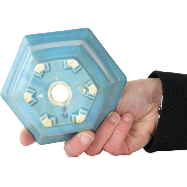 Pot à bonsaï hexagonal bleu de Shoseki - 130 x 130 x 67 mm