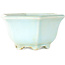 Pot à bonsaï hexagonal bleu de Shoseki - 130 x 130 x 67 mm