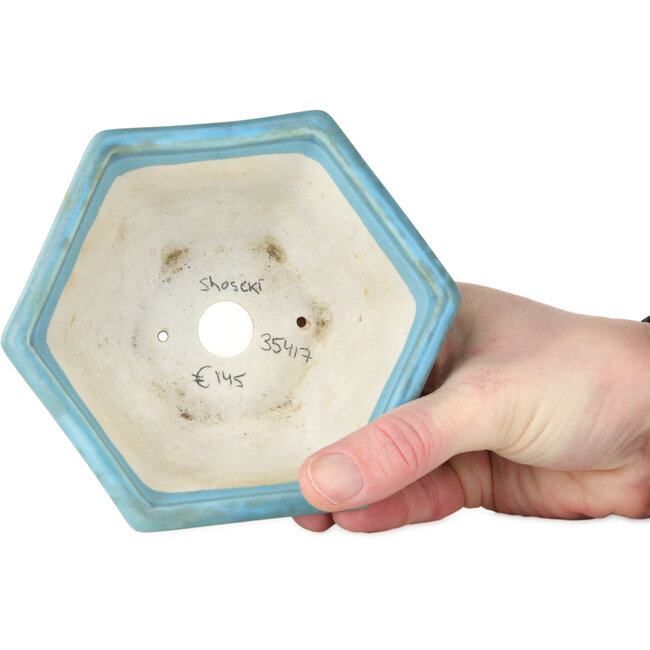 Pot à bonsaï hexagonal bleu de Shoseki - 130 x 130 x 67 mm
