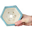 Maceta hexagonal azul para bonsái de Shoseki - 130 x 130 x 67 mm