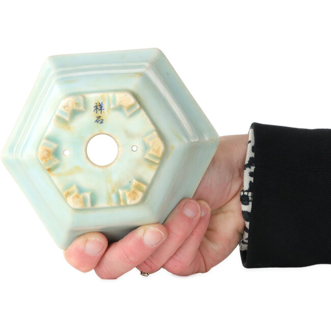 Pot à bonsaï hexagonal bleu de Shoseki - 130 x 130 x 67 mm