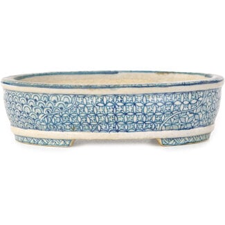  Shibakatsu (Katsuichi Shibata) Maceta ovalada para bonsái de 130 mm en blanco, azul y rojo de Shibakatsu, Tokoname, Japón