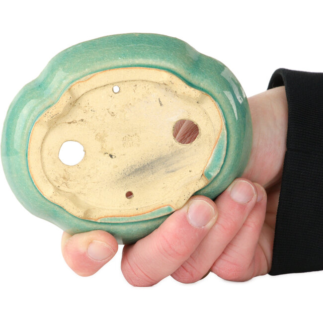 Vaso bonsai Mokko blu craquelé di Shibakatsu - 112 x 93 x 32 mm