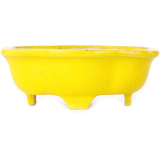 Pot mokko jaune de 117 mm provenant du Japon