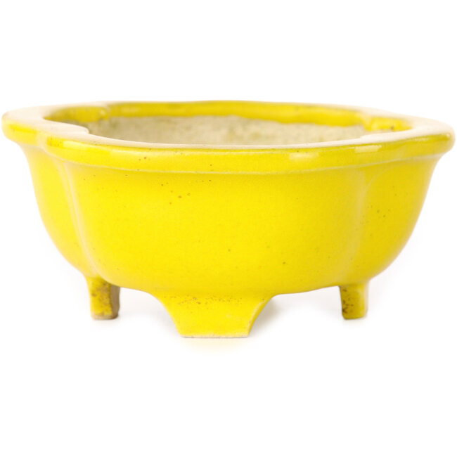 Mokko yellow bonsai pot - 117 x 97 x 43 mm