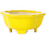Mokko gelber Bonsaitopf – 117 x 97 x 43 mm