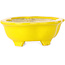 Vaso bonsai giallo Mokko - 117 x 97 x 43 mm