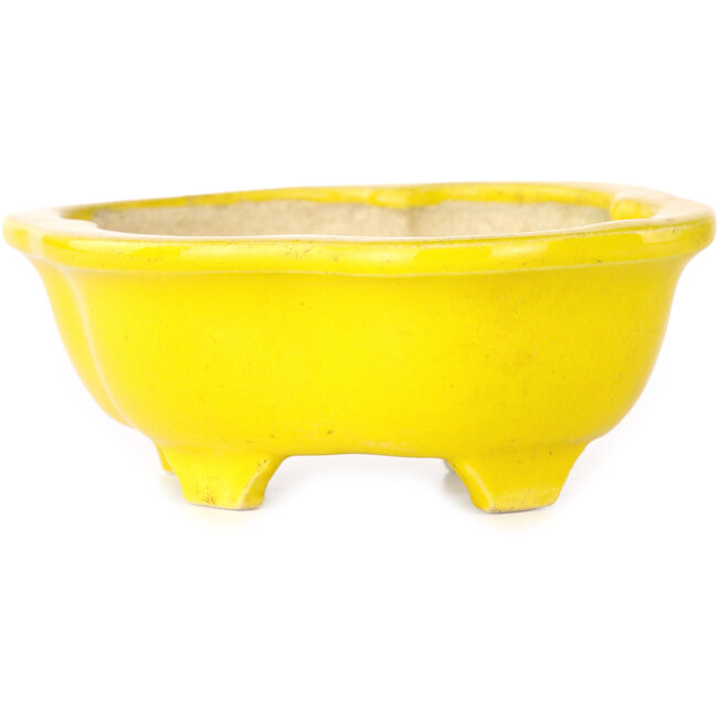 Mokko gele bonsaipot - 117 x 97 x 43 mm