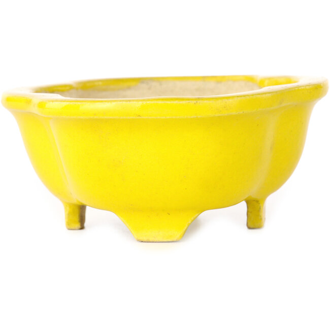 Pot à bonsaï jaune Mokko - 117 x 97 x 43 mm