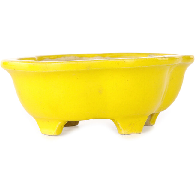 Pot à bonsaï jaune Mokko - 117 x 97 x 43 mm