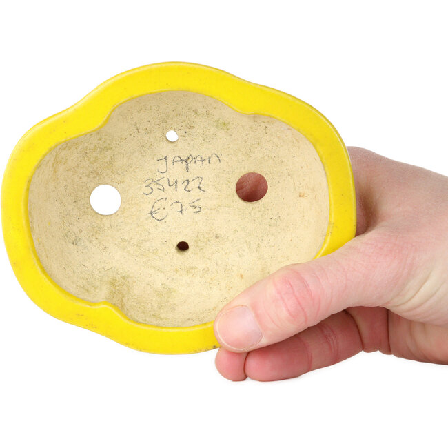 Mokko gelber Bonsaitopf – 117 x 97 x 43 mm