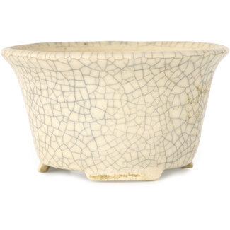 Kotobuki (Bonsa) Vaso bonsai rotondo bianco craquelé da 105 mm di Kotobuki (Bonsa), Tokoname, Giappone