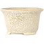 Maceta redonda para bonsái craquelé blanca de Kotobuki (Bonsa) - 105 x 105 x 60 mm