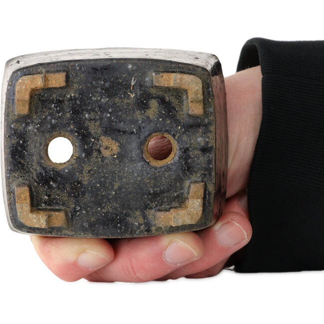 Rectangular dark blue bonsai pot - 85 x 72 x 50 mm