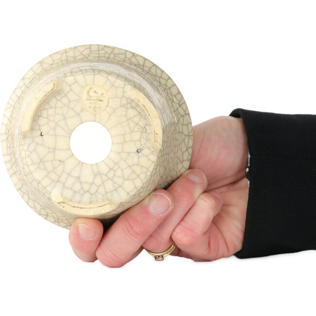 Runder weißer Craquelé-Bonsaitopf von Kotobuki (Bonsa) – 105 x 105 x 60 mm