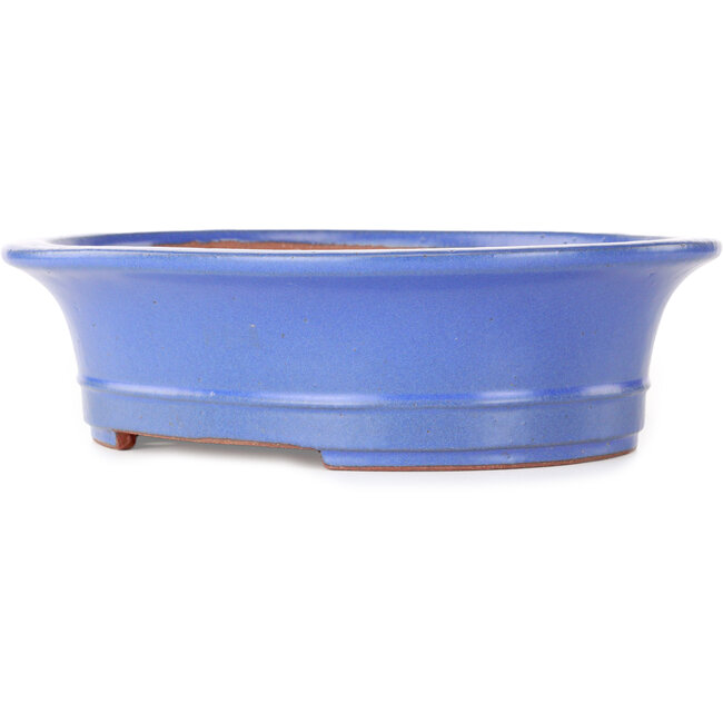 Vaso bonsai ovale blu di Seizan (Reihou, Kataoka Katsushi, forno del maestro Seizan) - 285 x 245 x 78 mm