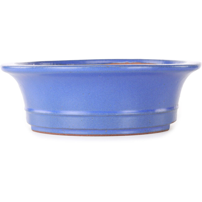 Ovaler blauer Bonsaitopf von Seizan (Reihou, Kataoka Katsushi, Meister Seizan-Ofen) – 285 x 245 x 78 mm