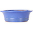 Oval blue bonsai pot by Seizan (Reihou, Kataoka Katsushi, master Seizan kiln) - 285 x 245 x 78 mm