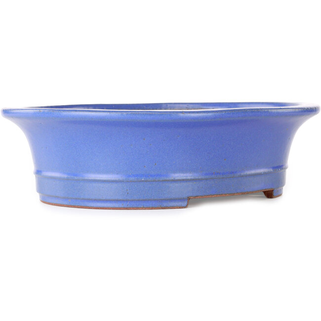 Pot à bonsaï ovale bleu par Seizan (Reihou, Kataoka Katsushi, maître four Seizan) - 285 x 245 x 78 mm