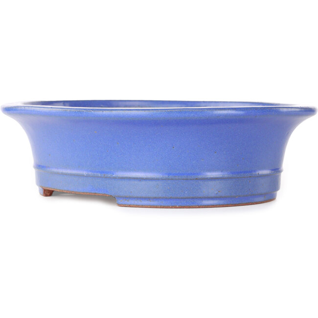 Pot à bonsaï ovale bleu par Seizan (Reihou, Kataoka Katsushi, maître four Seizan) - 285 x 245 x 78 mm