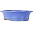 Maceta ovalada para bonsái azul de Seizan (Reihou, Kataoka Katsushi, maestro del horno Seizan) - 285 x 245 x 78 mm