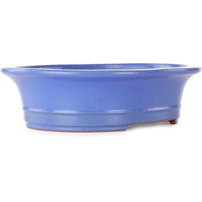 Maceta ovalada para bonsái azul de Seizan (Reihou, Kataoka Katsushi, maestro del horno Seizan) - 285 x 245 x 78 mm