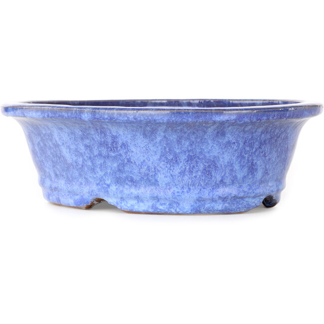 Ovaler blauer Bonsai-Topf von Shuhou – 253 x 208 x 75 mm